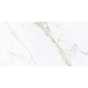 ZP NORA Bone 30*60